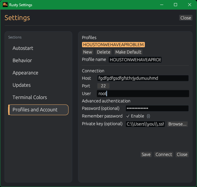Rusty settings profiles and account section